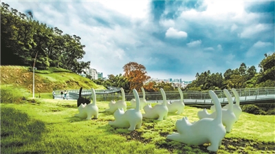 走在云道，看花看展看AR